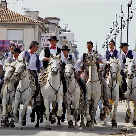 Double Avec Parking, Clim Et Piscine - Fr-1-307-140 Le Grau-du-Roi
