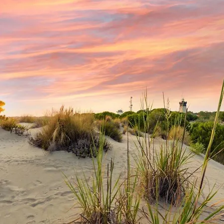 Double Avec Parking, Clim Et Piscine - Fr-1-307-140 Appartement Le Grau-du-Roi